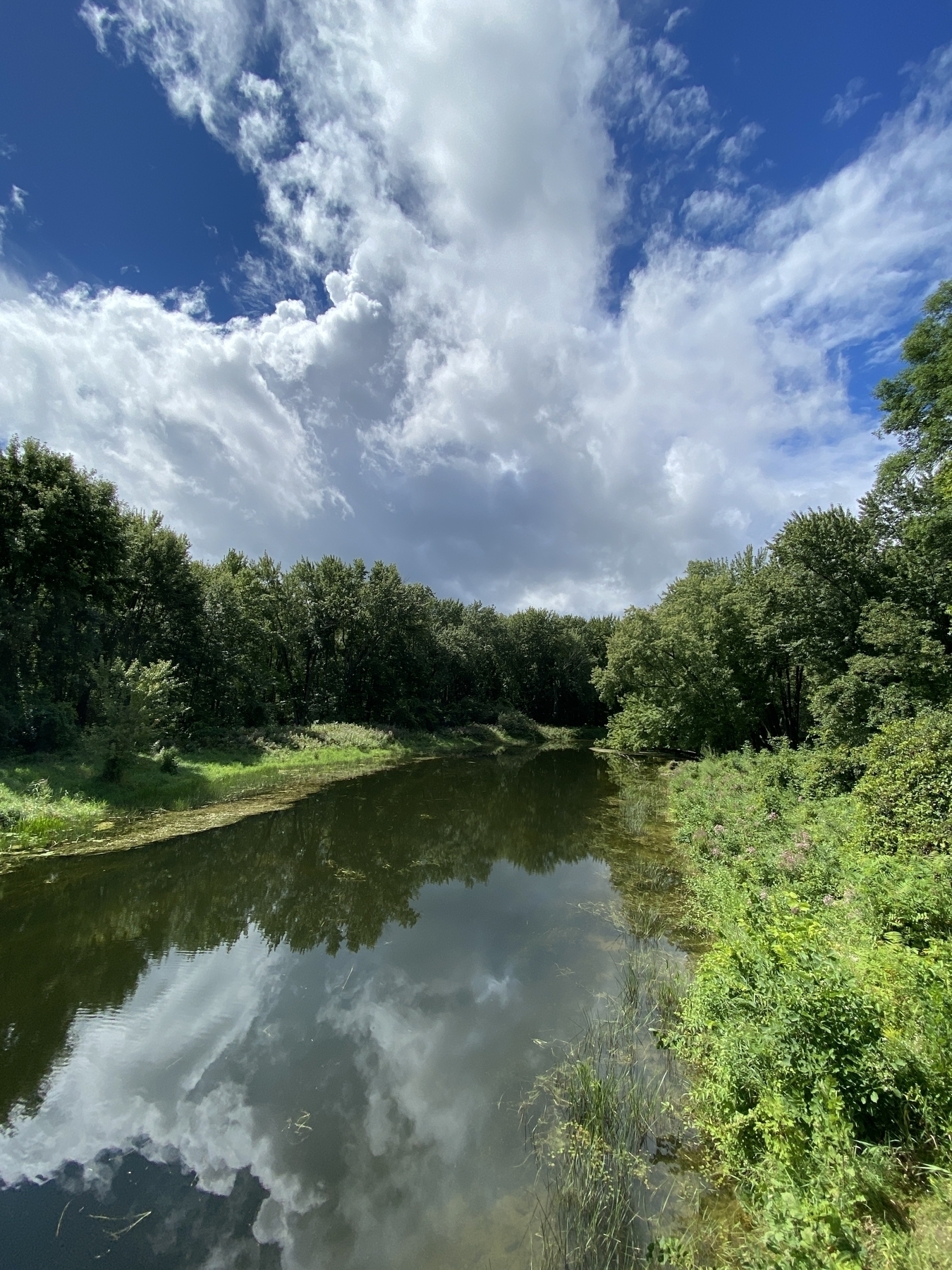 A serene river winds through a lush green landscape under a mixed blue & cloudy sky.